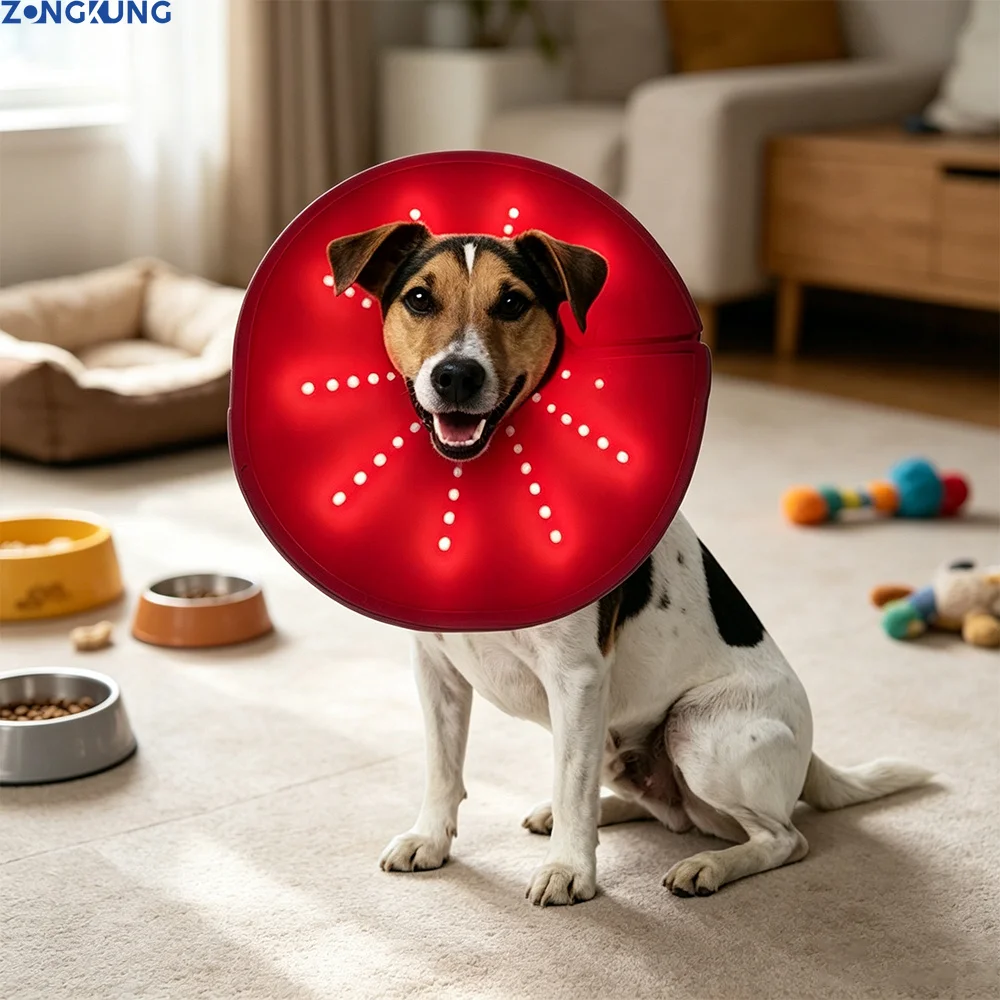 Equipement-de-physiotherapie-led-a-lumiere-rouge-pour-usage-veterinaire-pour-chiens-et-chats-conique-pour-la-tete-et-le-cou-soulagement-de-la-douleur-rechargeable