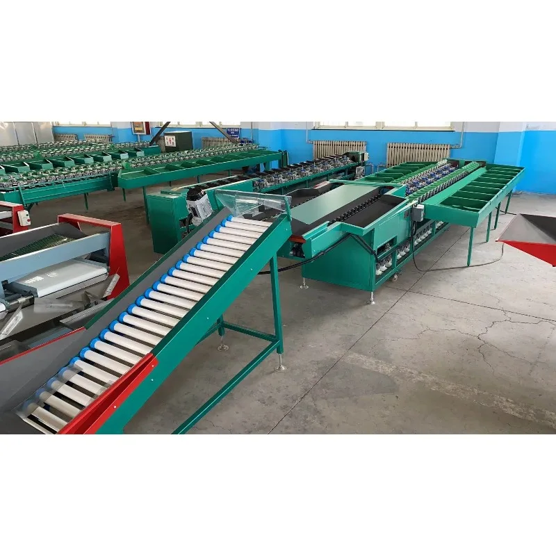 Complete Automatic Fruit Weight Sorting Line Roller Feeding Conveyor With Fruit Weight Grading Machine Customized