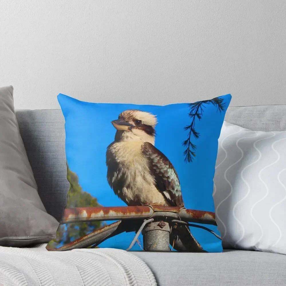 Kookaburra in the Morning Sun! Throw Pillow Cushion Cover Cushions Cover pillow