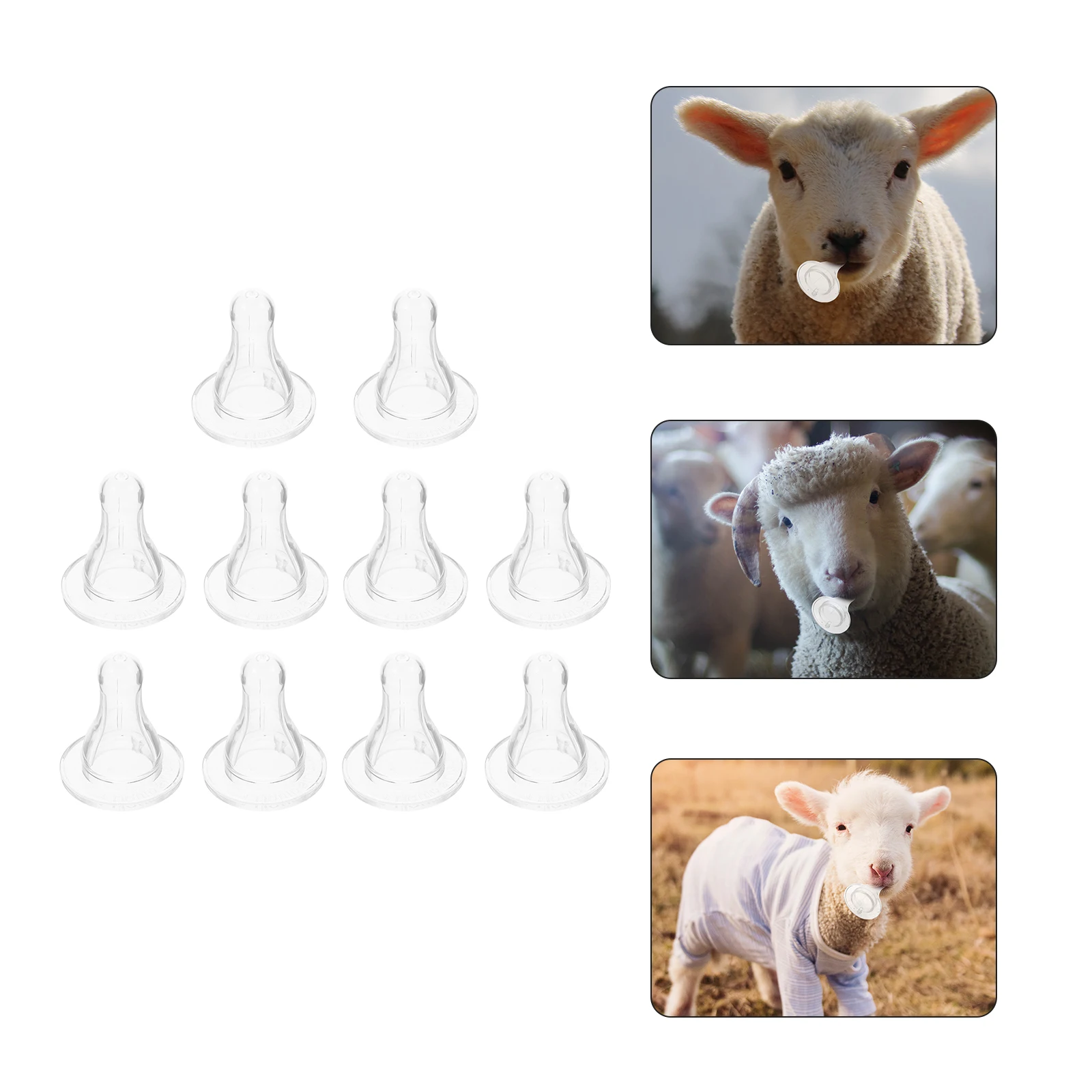 

10 Pcs Piglet Pacifier Lamb Feeding Nipples Small Animals Feeder with Multi Silica Gel Nurse Breastfeeding