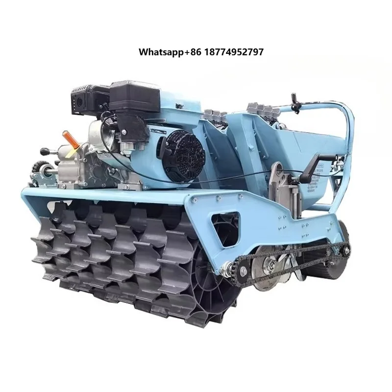 Agriculture Machine Equipment Factory Supplier 4 5 6 Row  Engine Planter Garlic Seeder