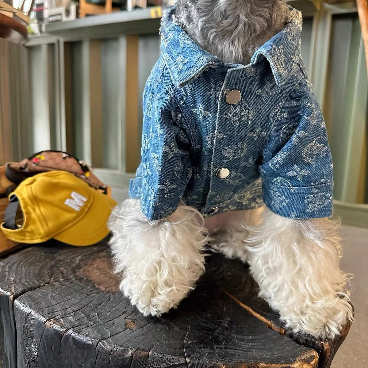 Pet Dogs Cats Denim Coat Jacket Puppy Clothes Cool Apparel For Small Medium Dogs Cowboy Schnauzer Dobby Bear Teddy Pet Clothing