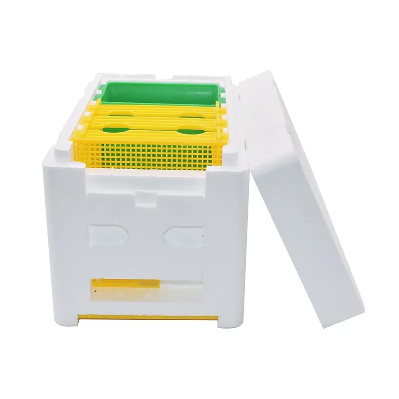 

Multi-Function Beehive Beekeeping King Box Beehive Pollination Box Queen Bee Breeding Box Bee Mating Case Queen King Boxes