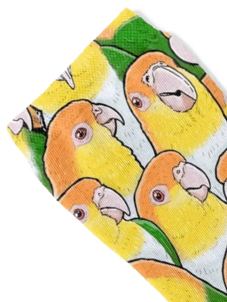 White-bellied Caique Parrots Socks basketball hiphop custom Soccer Socks Women Men's