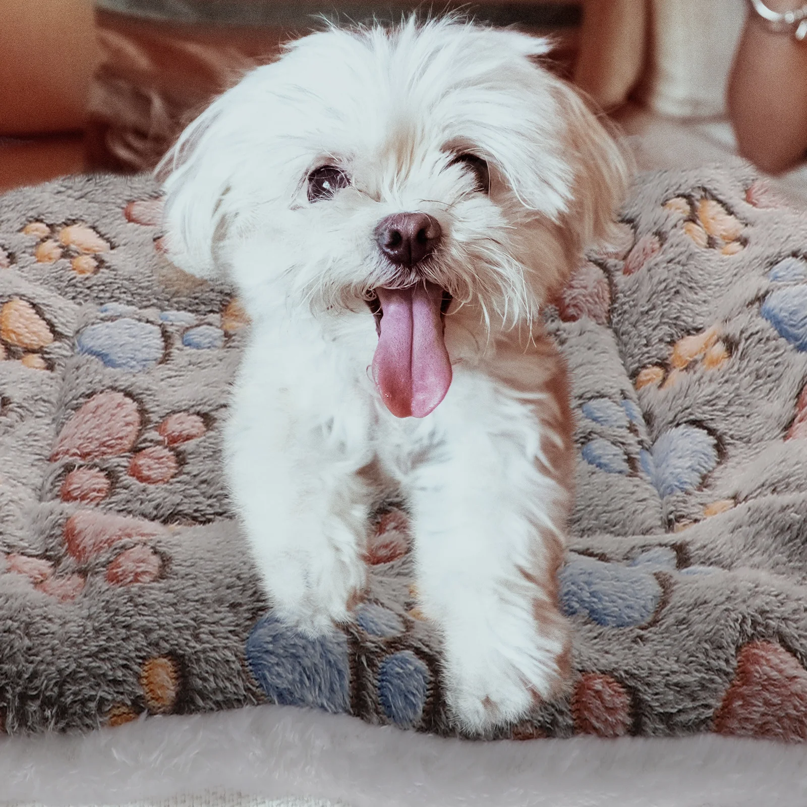 

2Pcs Pet Sleeping Mats Warm Comfortable Cushion Pads for Dogs Cats Sofa Crate Bedding Travel Pet Sleeping Mat Throw Rug