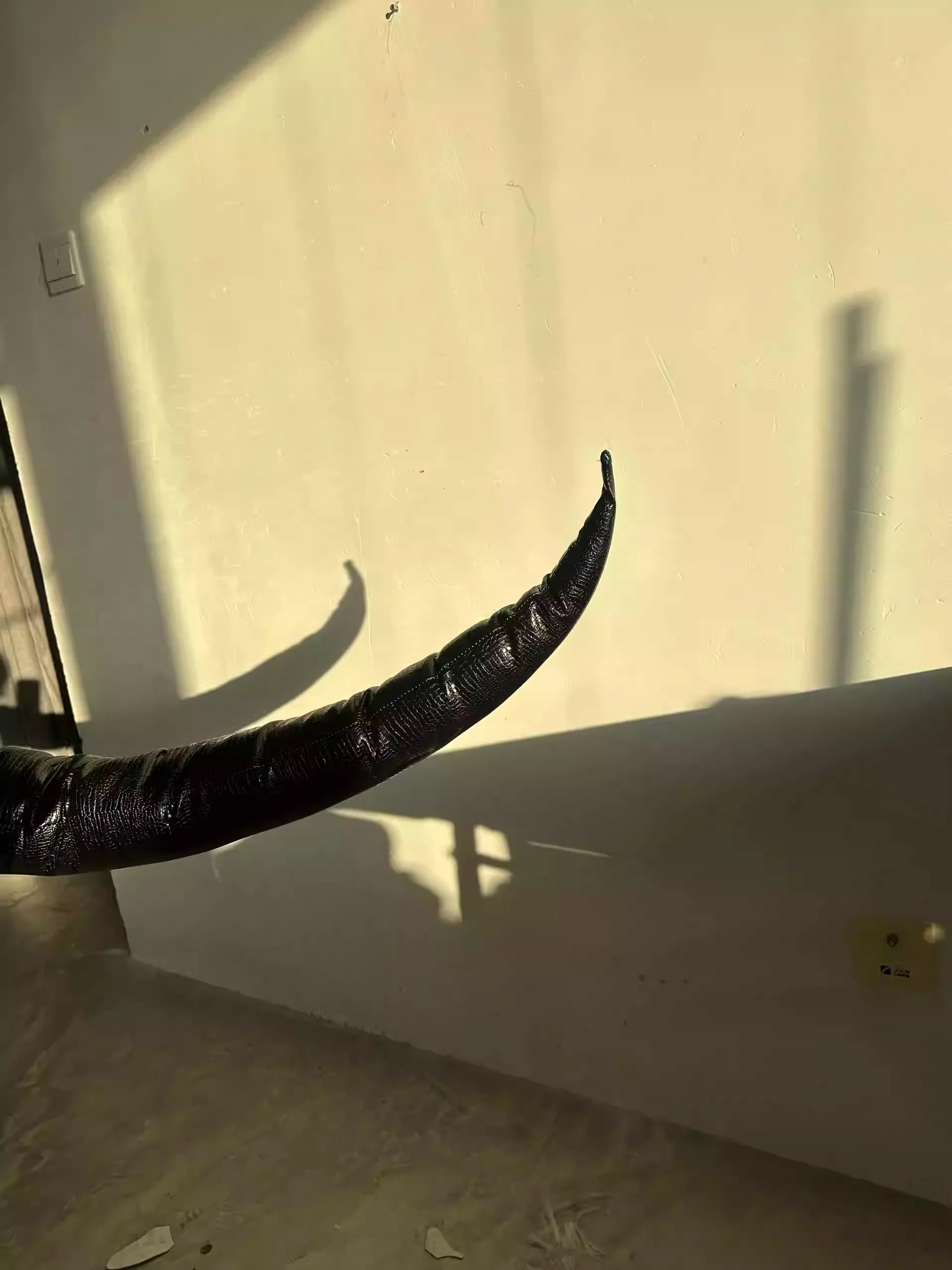 Juego Love and Deepspace Sylus Cosplay cola de dragón cuerno cola mito tarjeta donde Drake sombras otoño accesorios de Cosplay