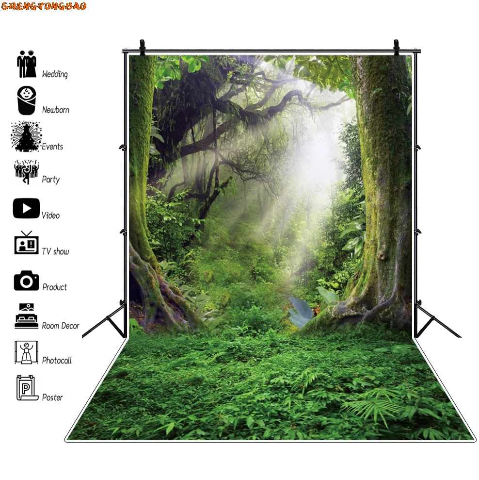 ฤดูใบไม้ผลิทิวทัศน์ธรรมชาติป่าการถ่ายภาพฉากหลังป่าเขตร้อนสีเขียวป่าต้นไม้ผจญภัยเด็กภาพพื้นหลัง