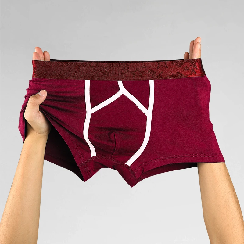 Bullet spermatic cord separation underwear men's vein scrotum pouch four corners underpants curved sexy boxers