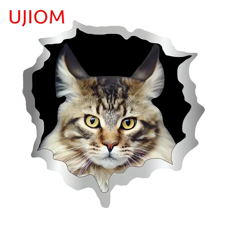 UJIOM Lovely Kitten Graphics Crack Wall Stickers Computer Host Skateboard Decal Creativite Personality Amusing Wallpapers