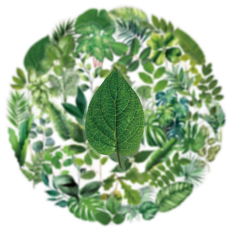 50PCS Green Plant Leaves PET Sticker Aesthetic Hand Accounting Transparent DIY Children's Decoration Scrapbooking Supplies