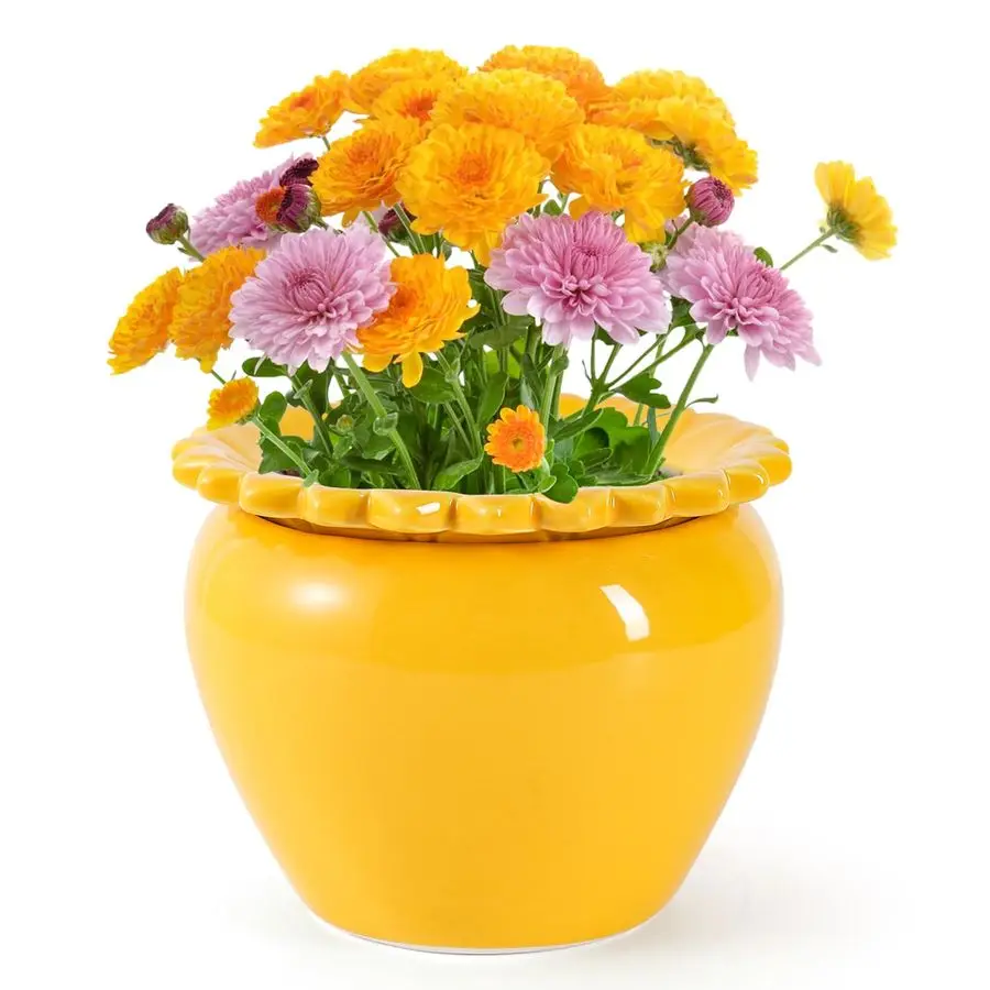 

8in Self Watering Terracotta Planter Yellow Ceramic Pot Maintenance Plant Seeder Planter for Indoor Plants African Violet