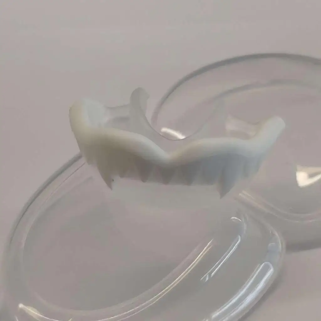 Boxing Mouthguard Adult EVA Mouth Guard MMA Teeth Protector with