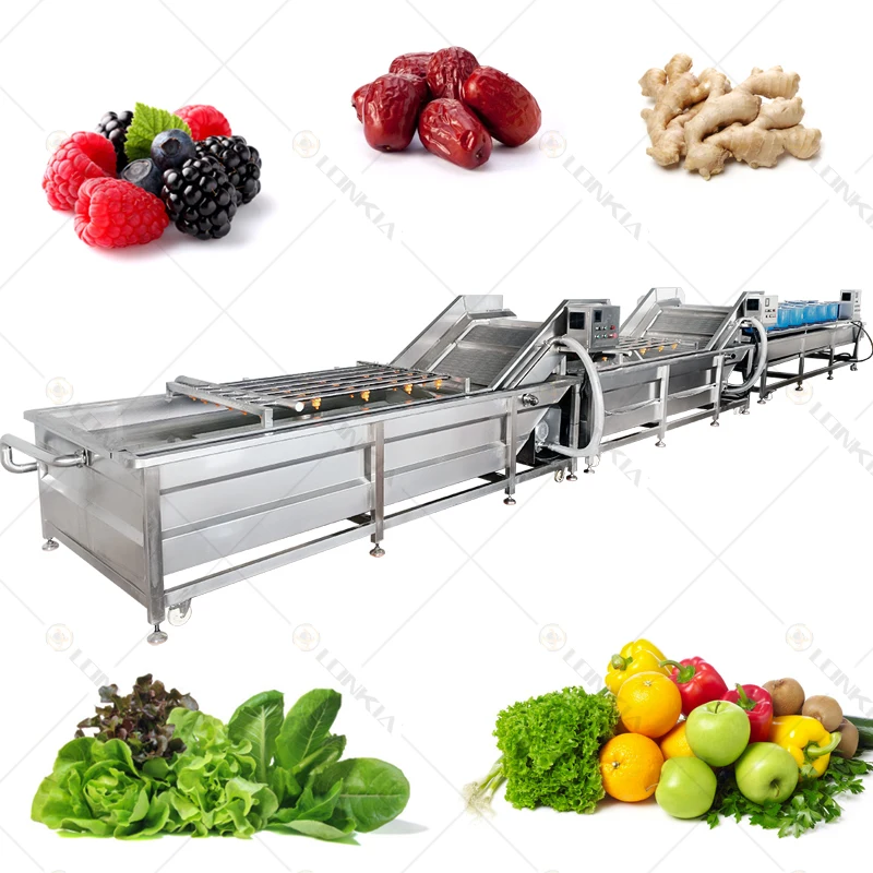 Stainless Steel 304 Vegetable Washing Machine For Commercial Use Easy To Clean And Maintain