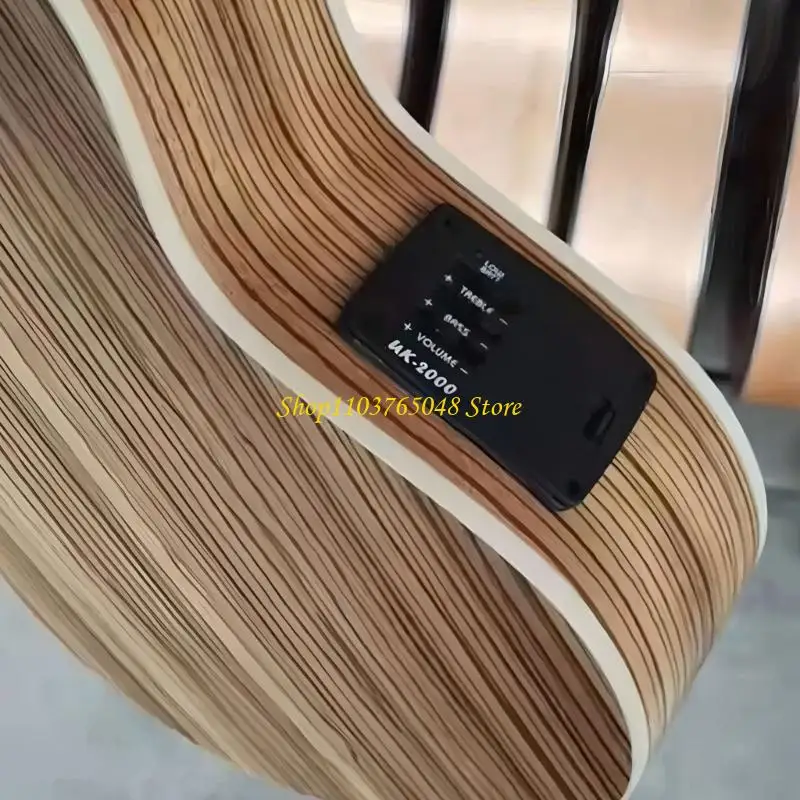 R53E Professional 2 Band EQ System Plastic Texture Suitable for Acoustic Instruments Includes Connector Spacers Screws