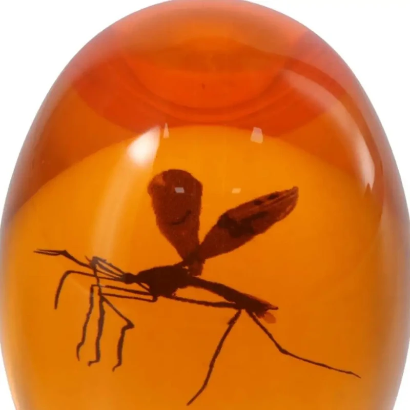 Realistic flat bottomed paper weight 3D mosquito amber series paper weight suitable for home desktop decoration, unique design,