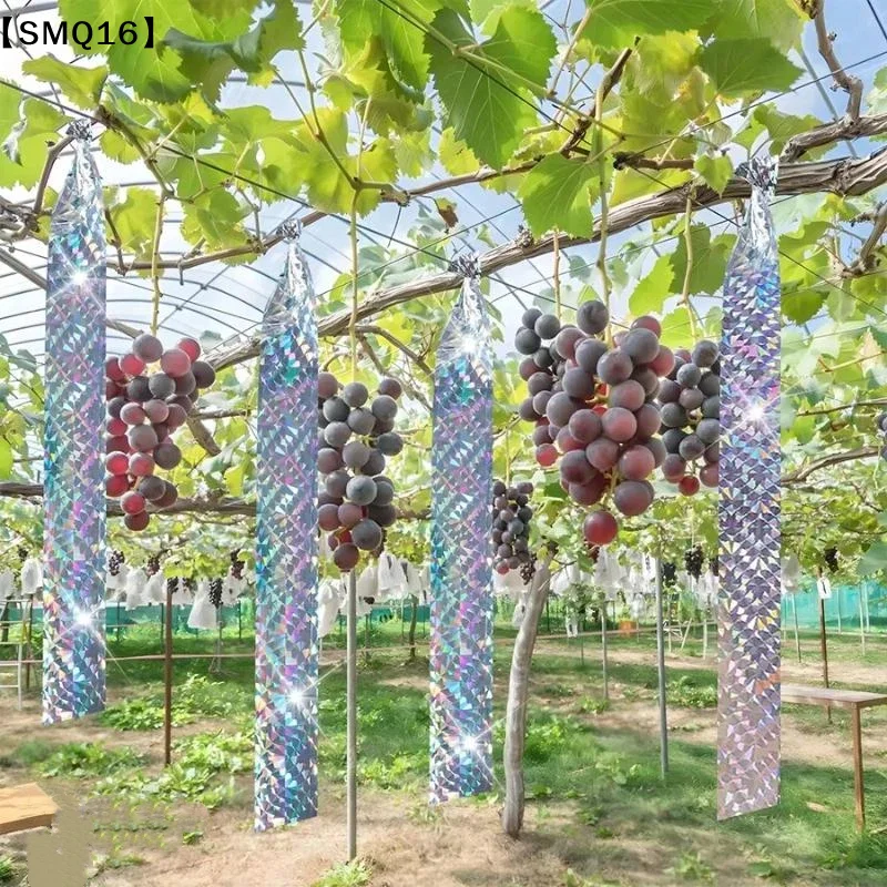 Double Side Laser Bird Scare Tape Keep Birds Away Bird Deterrent Tape For Garden Farm Orchard Or Courtyard【SMQ】