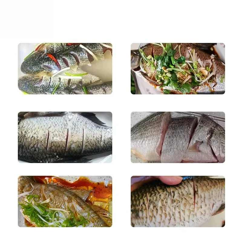 Factory Price Fully Automatic Electronic Fish Scale Remover Scraper Drum Fish Scale Removal Machine Fish Processing Machine