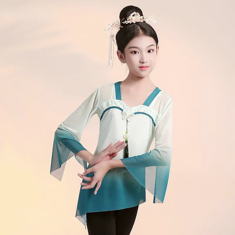 

Classical Dance Clothing Chinese Traditional Yangko Dance Practice Clothing Girls Elegant Oriental Dance Dress Stage Performance