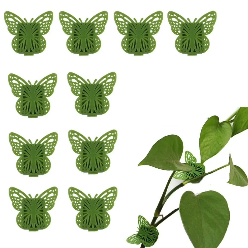 

Bracket Hook Flowers Holder Hooks Vegetables Tied Fixed Wall Vines Fixture Plant Support Plant Climbing Clip Plants Bracket