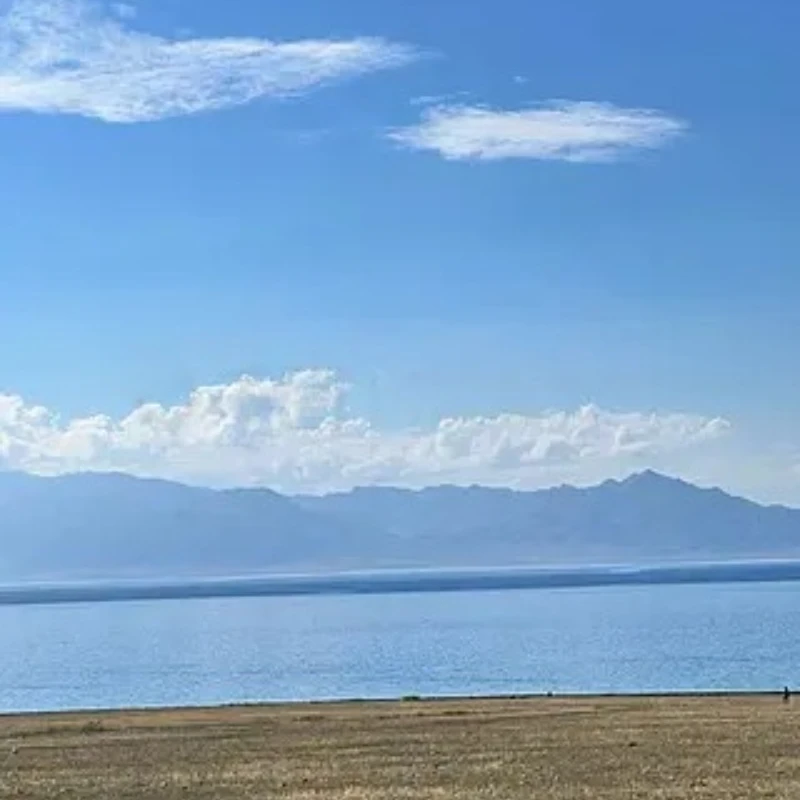 T-MOTOR HOBBY Cine C 80A C80A 4w1 4-8S Blheli32 Podwójne MOSFETy Seria CINE Regulator Obrotów ESC do Drona Samolotu Quadcoptera