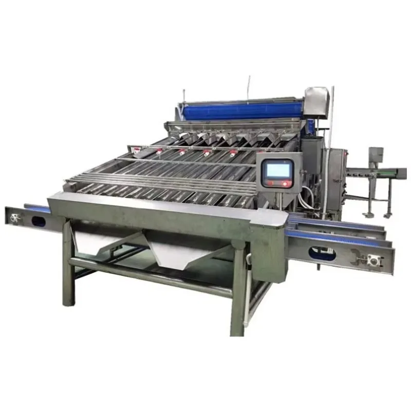Shrimp Grading Machine for Seafood Factory – Automatic Shrimp Sizing & Prawn Sorting Equipment High Efficiency