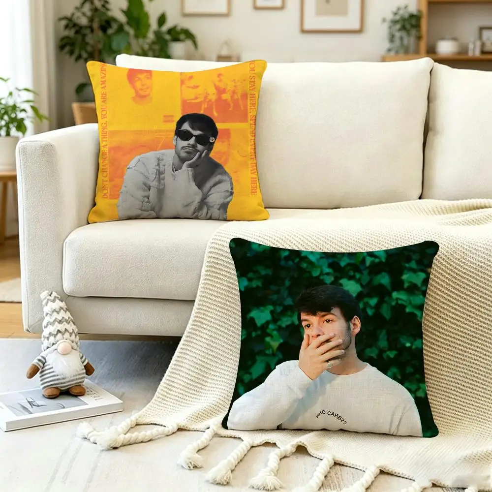 Pop Singer R-Rex Orangee County Cushion Cover Anti-dustmite Pillowcase Invisible zipper silky short plush Sofa cushion cover