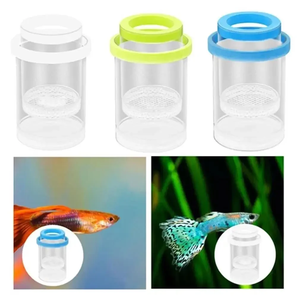 

Floating Fish Breeding Isolation Box Aquarium Breeder Feeder Fish Tank Hatching Incubator Aquarium Hatchery Accessories