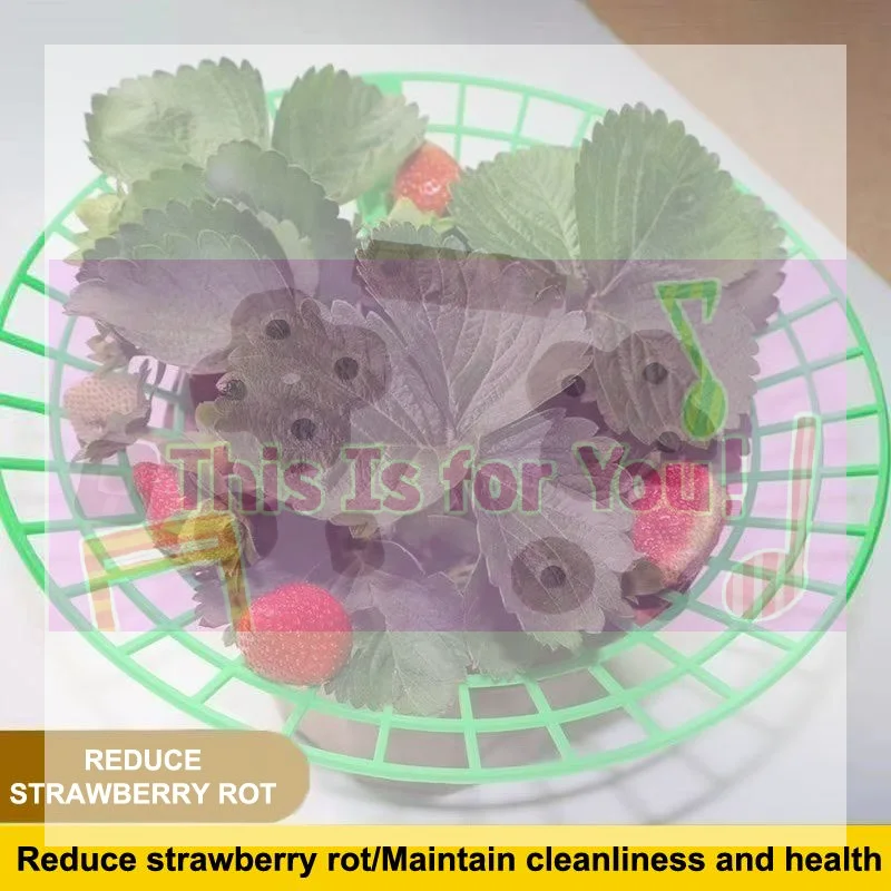 【MA】Strawberry Plant Support Stand With Legs, Plastic Round Growing Rack To Keep Berries Clean & Prevent Rot