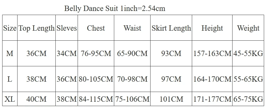 Belly Dance Clothes for Women Belly Dancing Half Sleeves Top+spandex Skirt 2pcs Oriental Dance Costumes Indian Dress Skirt Wear