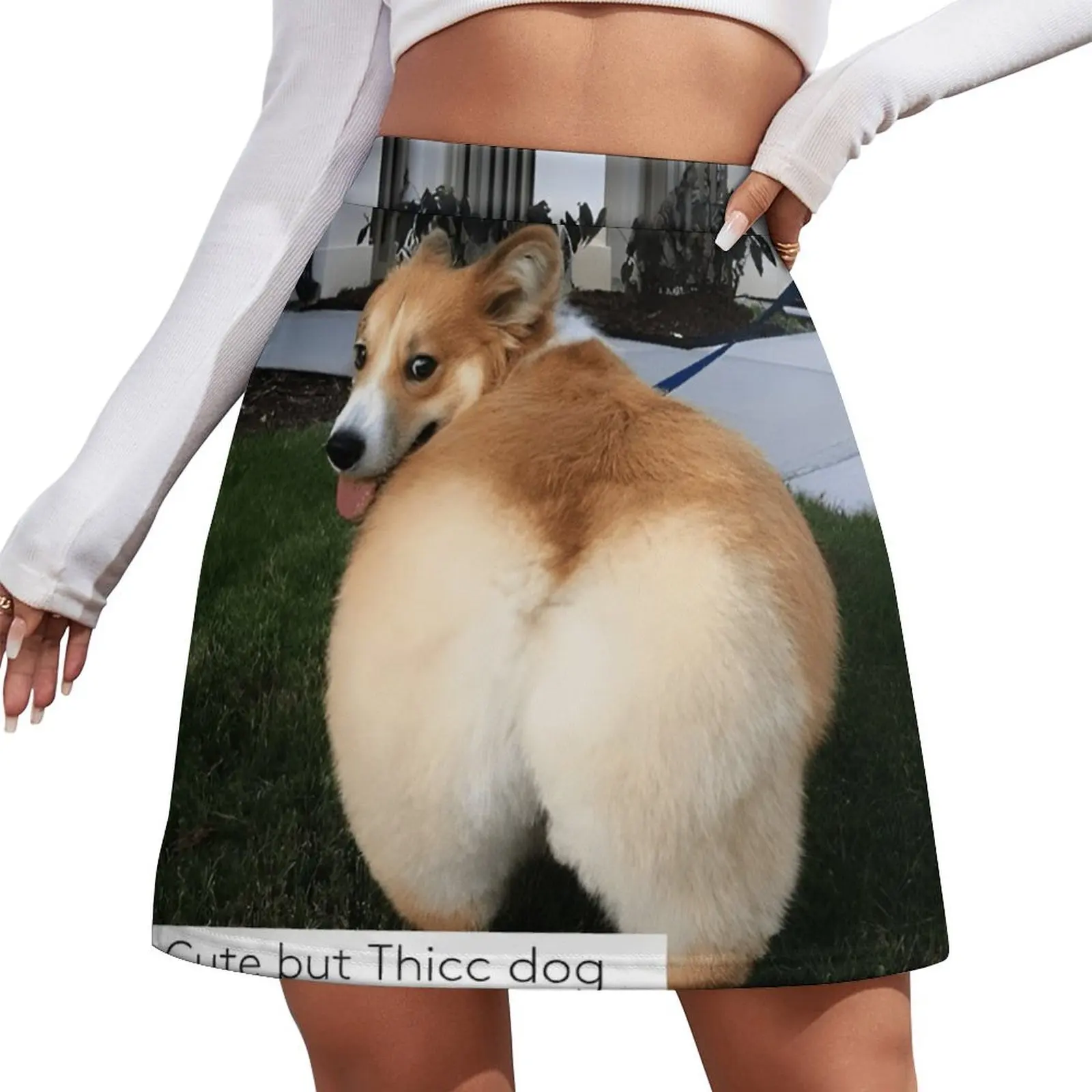 

Thicc dog sexy Mini Skirt Skort for women Clothing female Womens dresses 90s vintage clothes Mini Skirt