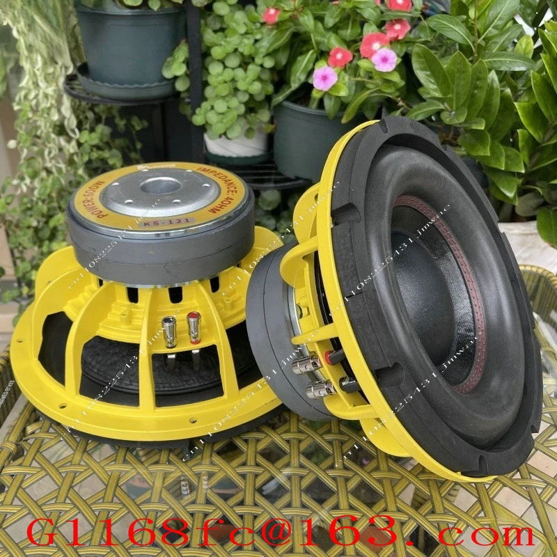 Dual Magnetic Long Stroke 10 Inch 12 Inch 15 Inch Car Woofer