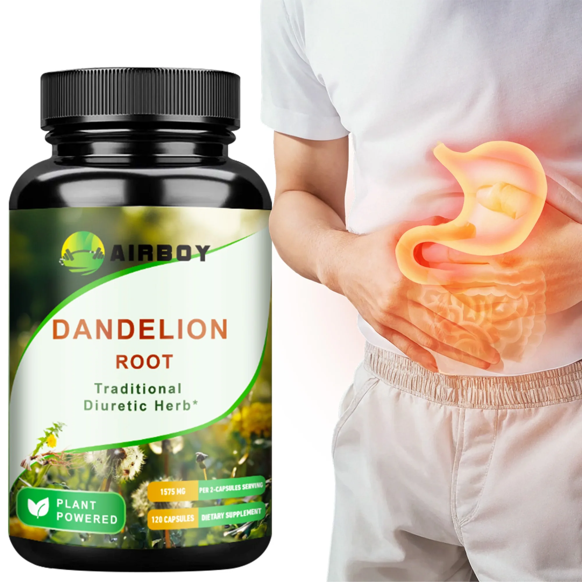 

Dandelion Root Capsules - Diuretic, Promote Liver Detoxification and Cleansing, Enhance Immunity - 120 Capsules