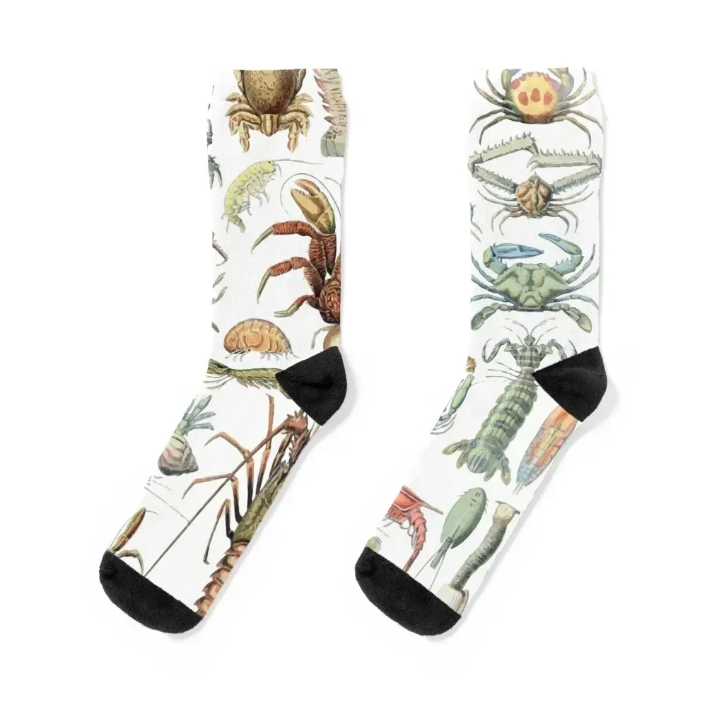 Adolphe Millot Crustaces Crustacean Lobster Crab Calcetines invierno moda Calcetines antideslizantes Mujer Hombre