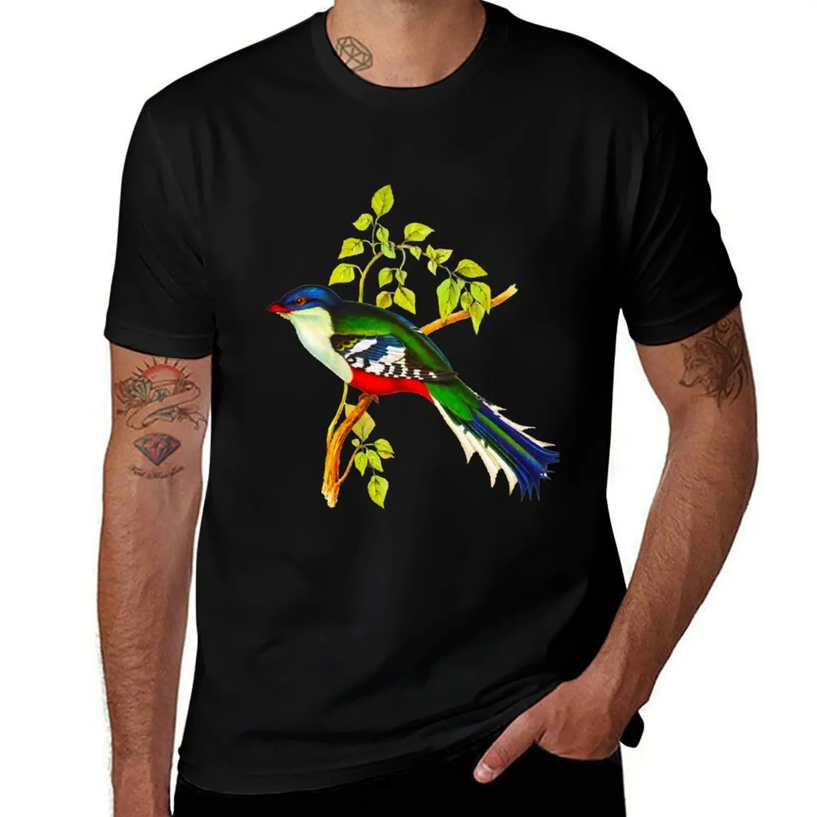 

Illustration of The Cuban trogon or tocororo T-Shirt t shirt men 100% cotton luxury brand t shirts for man cotton T-Shirt