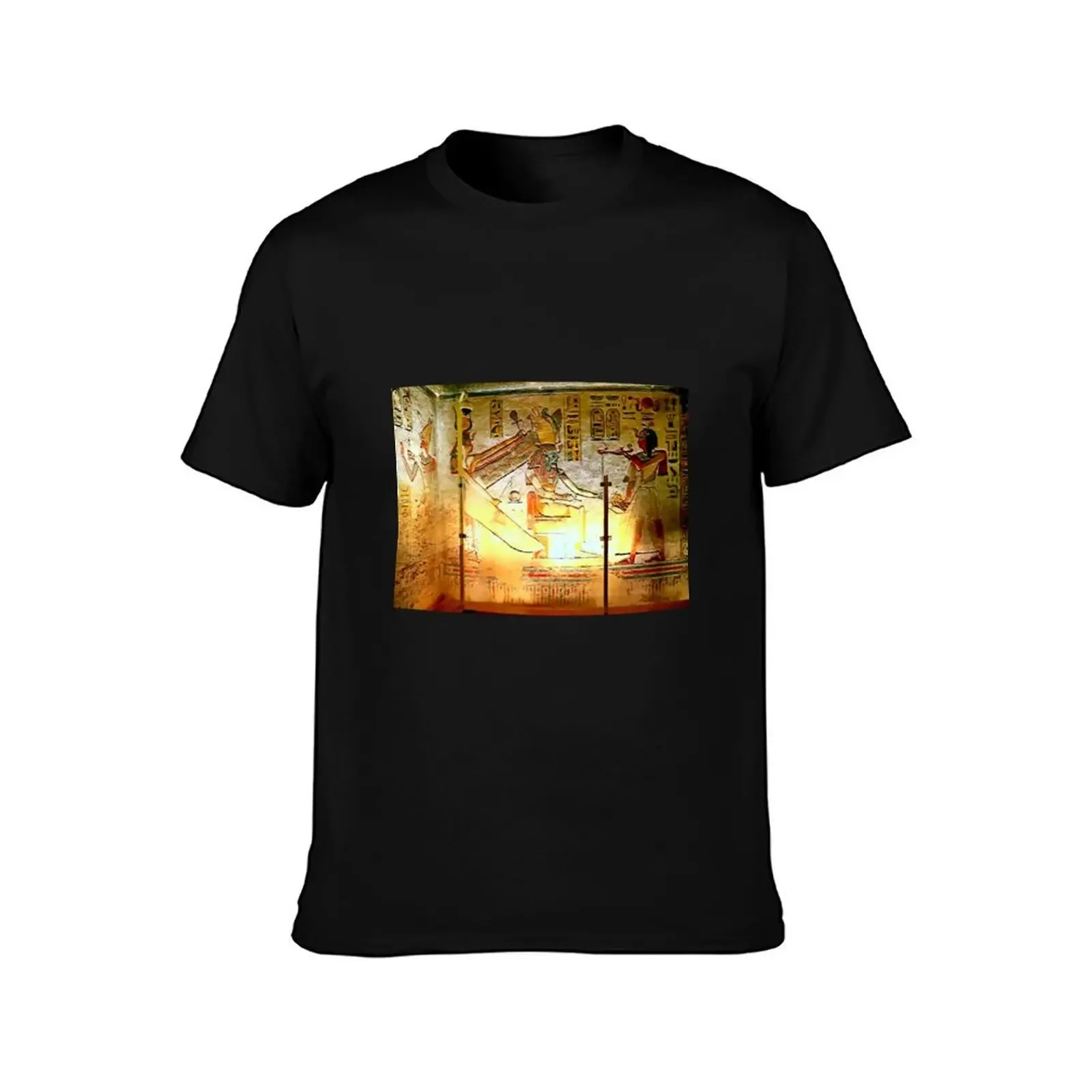 The Tomb of Ramses III T-Shirt cute tops aesthetic clothes clothes summer tops black t-shirts for men