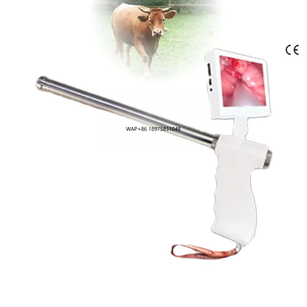 Portable visual insemination - dairy veterinary equipment for artificial breeding of cows and horses