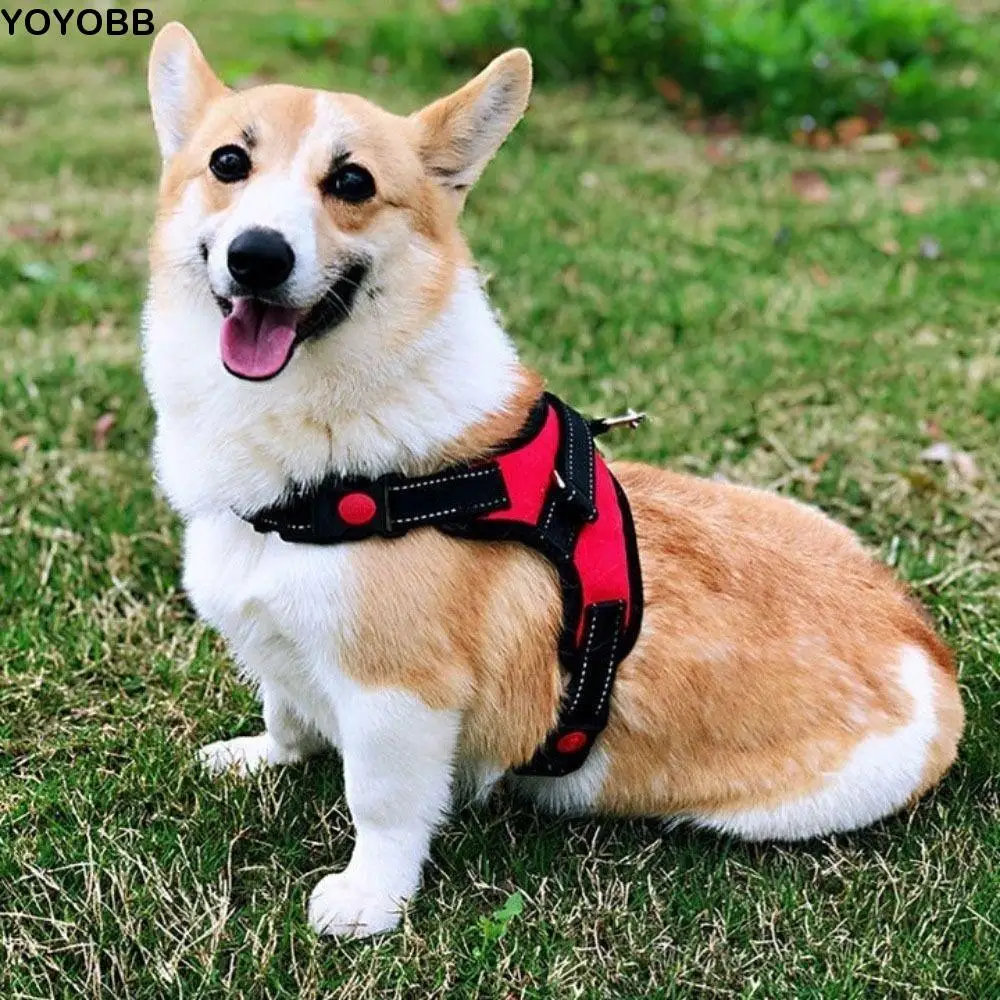 

Nylon Dog Cat Harness Breathable Adjustable Pet Chest Strap Reflective with leash Dog Harness Vest Dog Walking Training