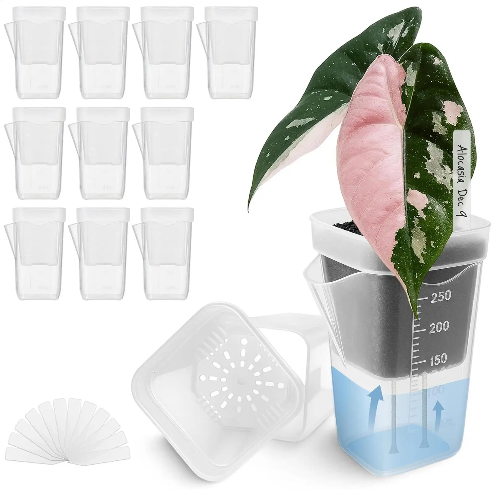 Self Watering Plant Pots 10pcs Mini Planter with Labels for Succulents Seedlings Herbs African Violet Indoor Outdoor Garden