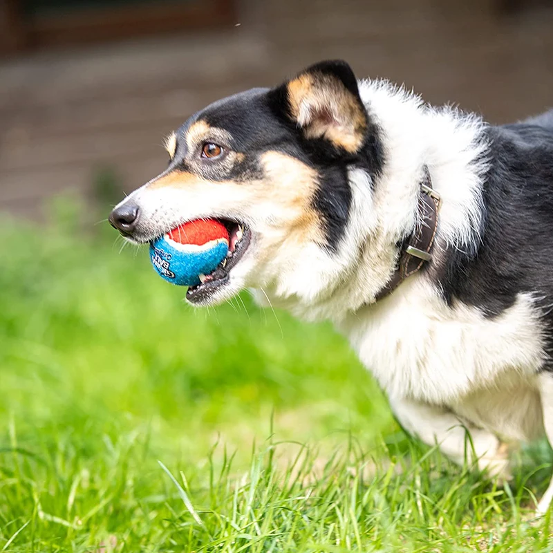 GiGwi 3PCS Huisdieren Hond Spel Bal Geluid Puppy Kauwen Interactieve Bal Tandjes Molaire Bijtvast Honden Speelgoed Huisdier Training producten