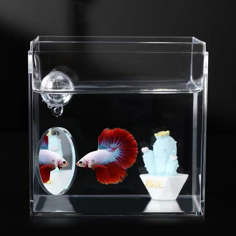 Acrylic Aquarium Betta Mirror Fish Tank Floating Round Mirror For Fish Betta Flowerhorn Cichlid Training 4cm/5cm/6cm/7cm/8cm/9cm