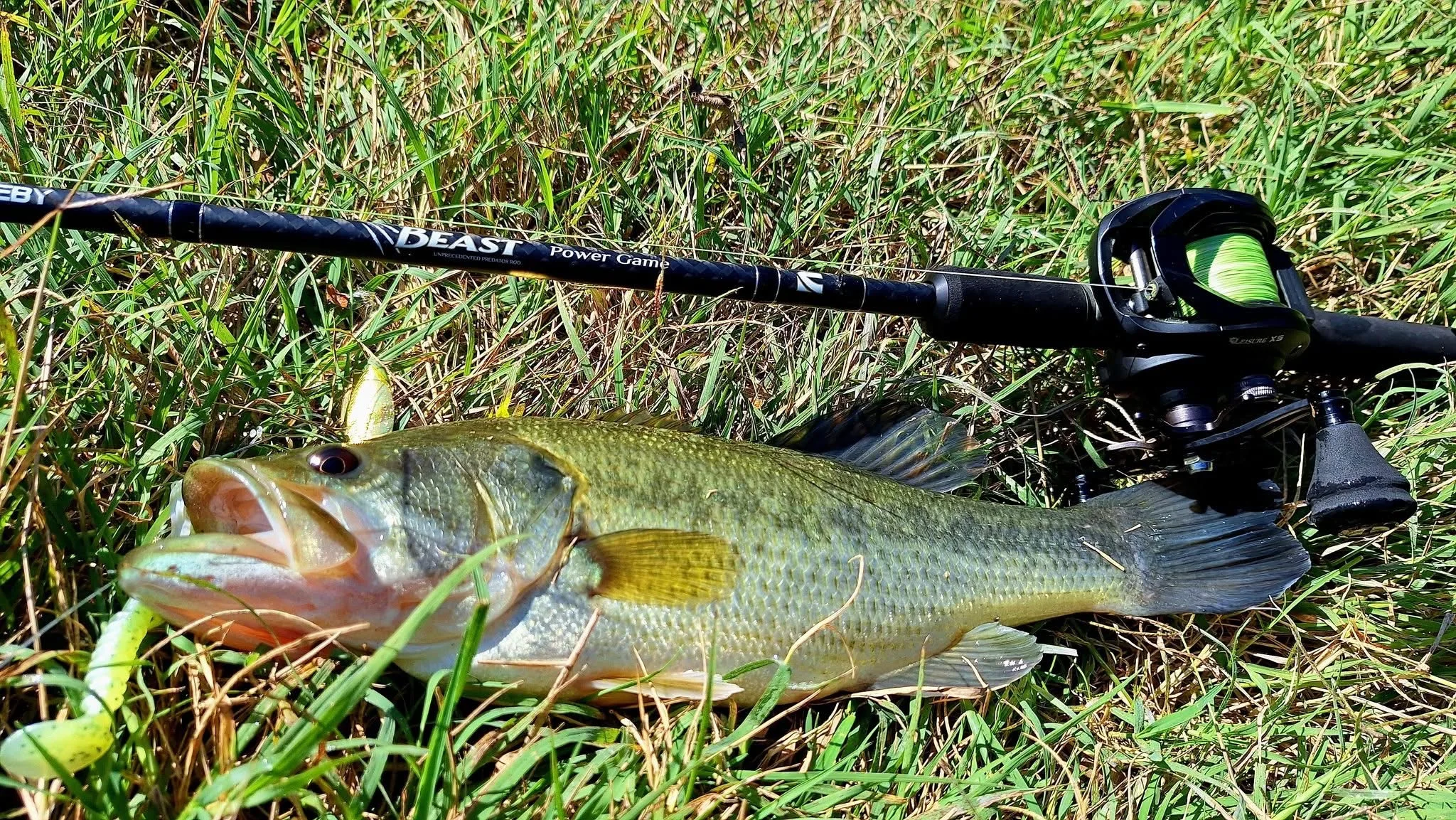 Noeby Hecht Angelrute 1,98 m 2,13 m 2,44 m 2,59 m Fuji Toray Carbon Casting Spinning Big Baits Power Wels Hecht Angelruten – Detail 1