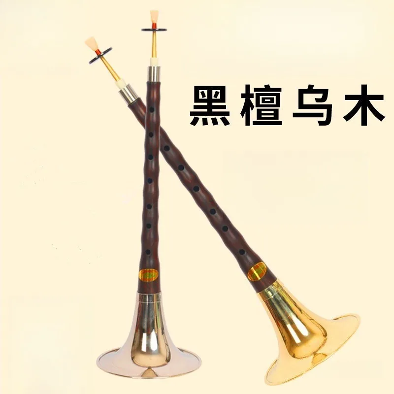 Suona musical instrument in key D, beginner adult, full set of blowing instruments, suitable for multiple scenes