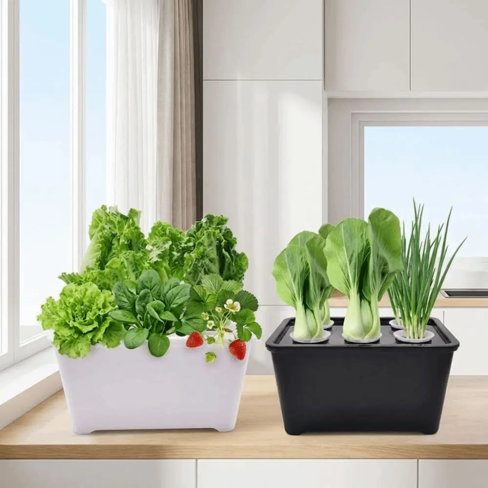 6 Holes Hydroponic Grower Kit Self Watering Seedling Pots Nursery Pots Plastic Thicken Versatile Cultivation Box