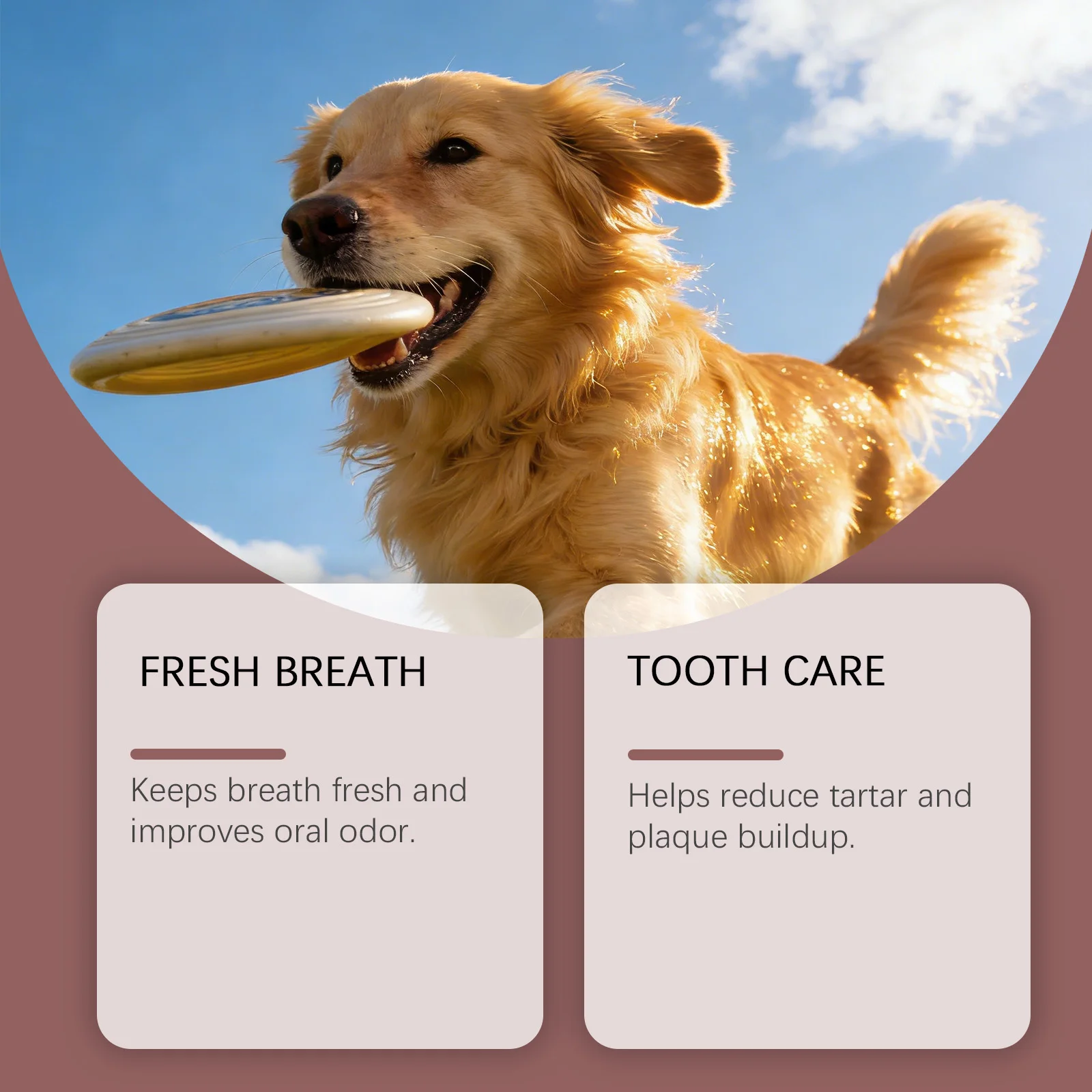 Pet Teeth Cleaning Spray For Dogs And Cats Remover Bad Breath Lasting Freshing Dental Plaque Tartar Control Oral Care Freshener
