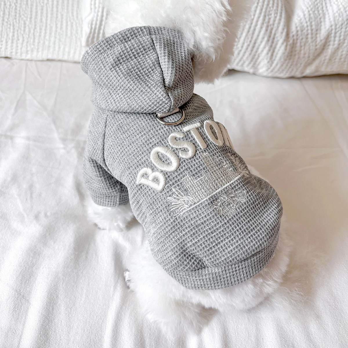 �y�Z�[�����z�y�b�g�����L�A�E�g�n���T�����킢���J�W���A�����K�ȏt�O���[�A�����J���{�X�g���Z�[�^�[