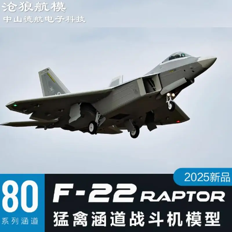 Freewing RC 80mm EDF F-22 Raptor avion à réaction électrique RC 6S PNP Kit + train d'atterrissage servo rétractable F22 EPO modèles d'avion