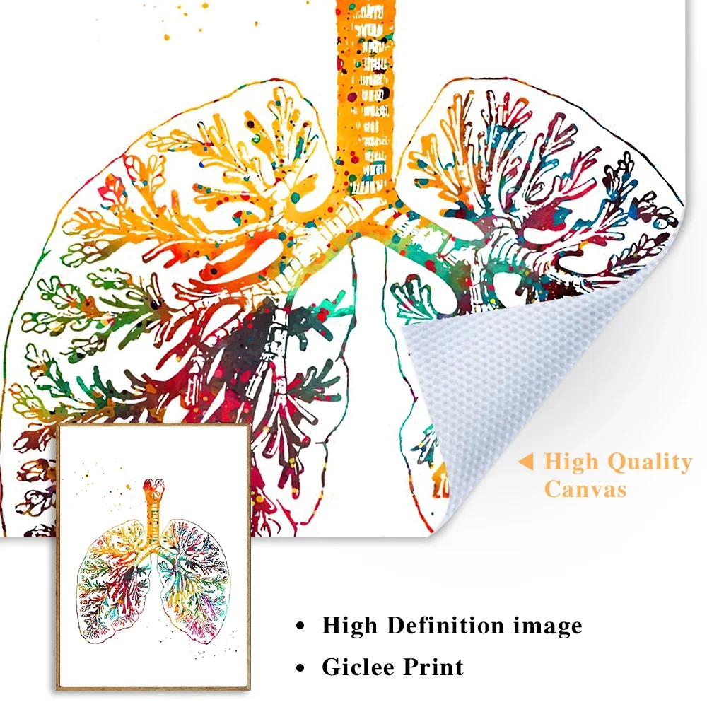 Scandinavian Simple Wall Art Human Anatomy Spine Heart Brain Teeth HD Canvas Poster Prints Home Bedroom Living Room Decoration