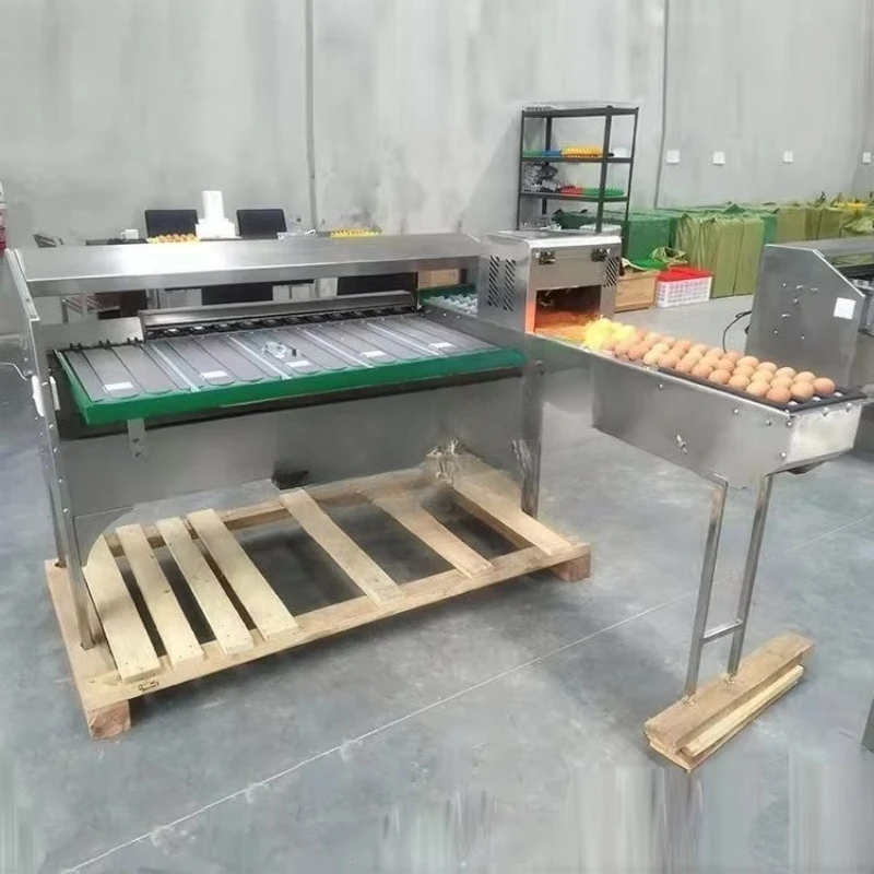 MY Automatic Egg Scale Classifier Size Sorting Grading Egg Grader Machine for Sale