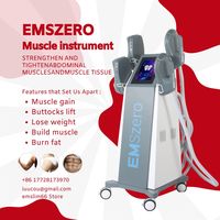 Professional EMSzero Sculpting NEO RF Fat Loss Build Muscle Machine EMS Body Slimming 2024 HI-EMT PRO Muscle