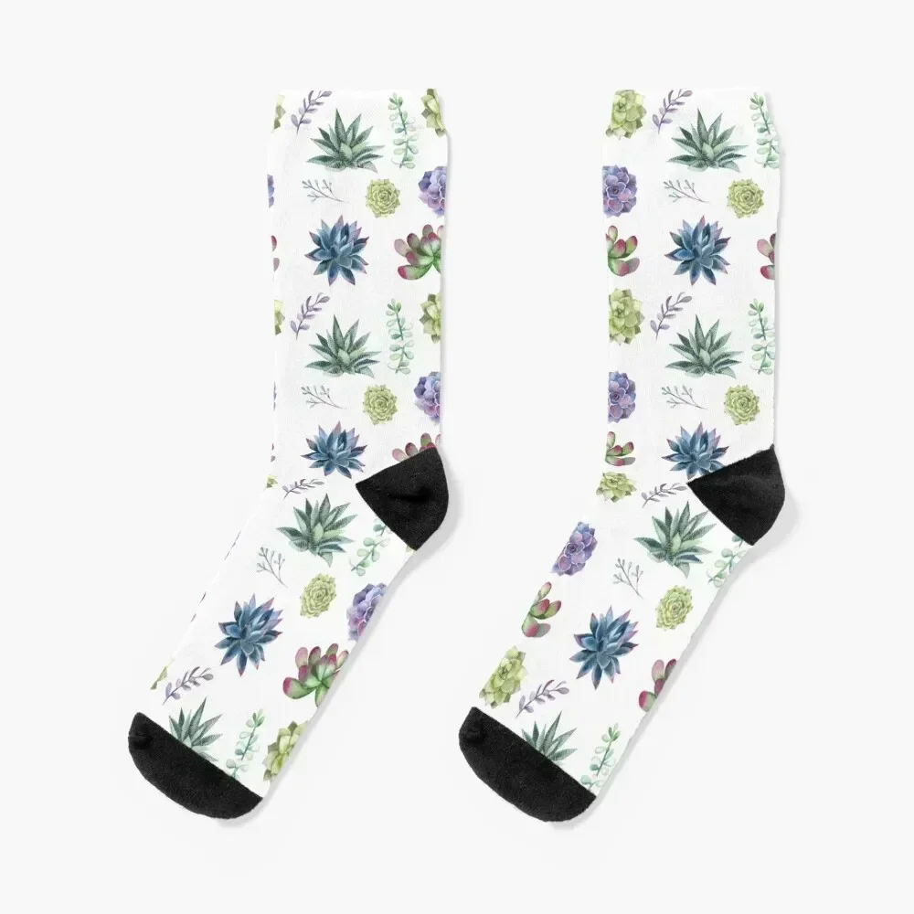 Watercolor Succulent Plant Pattern Socks men cotton high quality winter gifts Heating sock christmas gift Men Socks Women's